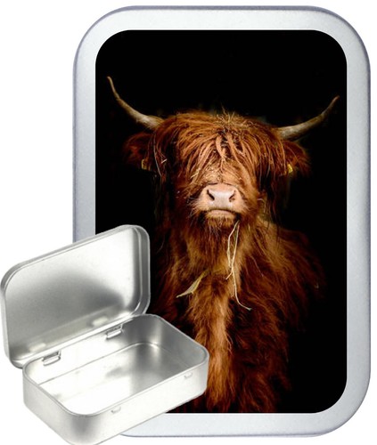 Highland cattle silver hinged - cattle,