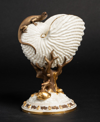 1883 royal worcester - royal, nautilus