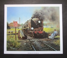 11.30" x 9.50"  MALCOLM ROOT