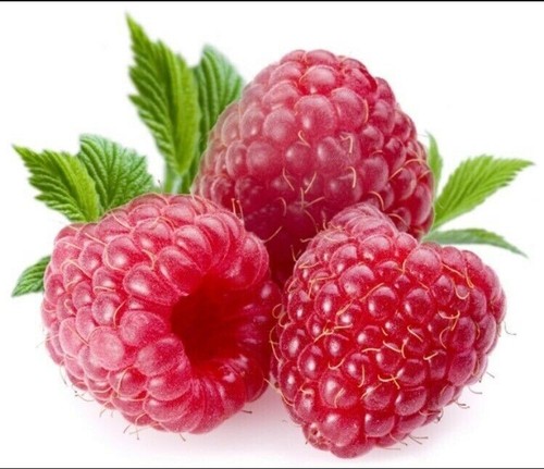 Giant sweet tulameen raspberry - giant,