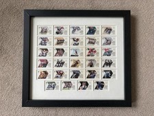 London 2012 Olympic Team GB