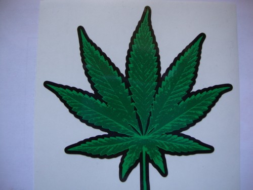 Marijuana weed cannabis helmet - weed,