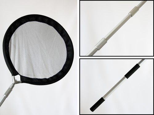 Koi carp garden pond panning - ,