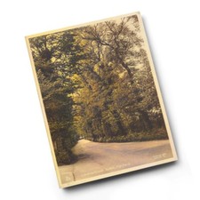 A6 PRINT - Vintage Surrey -