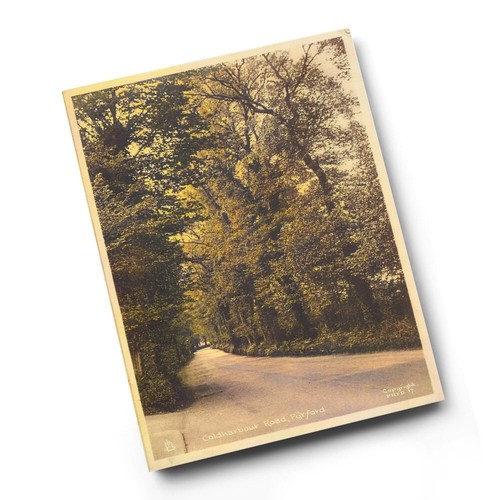Print vintage surrey - a6,