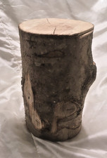 1 x Holly Tree wood log for turning, carving, craft (seasoned) lot 2