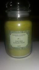 Yankee Candle: Large Apple