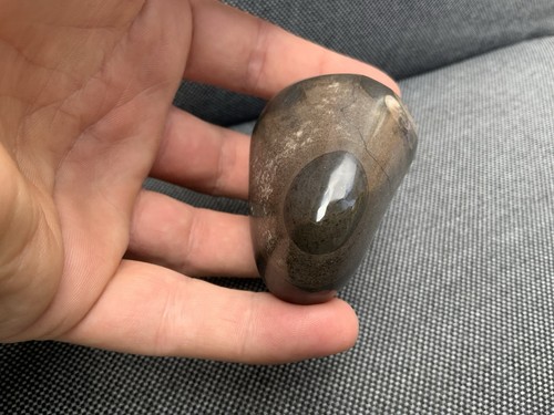 Polished ichthyosaur vertebra - polished,