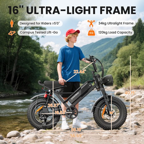 Teens 250w bike - teens, 48v