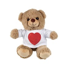 Valentine's Day Teddy Bear