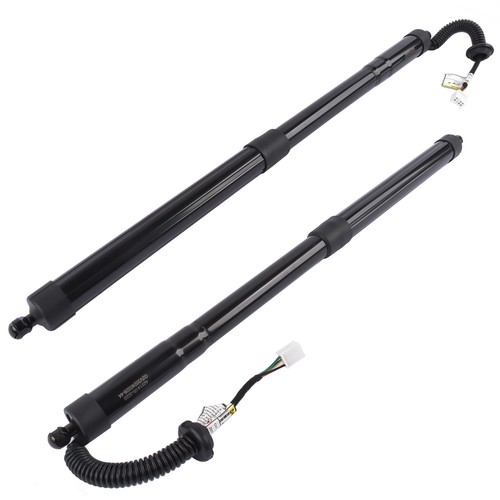 2pcs tailgate liftgate - liftgate, struts