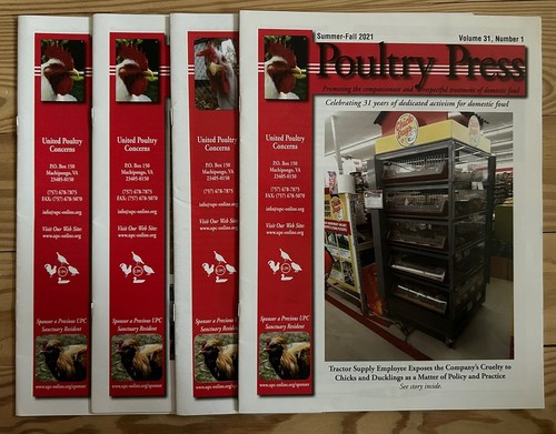 Issues poultry press - 4,