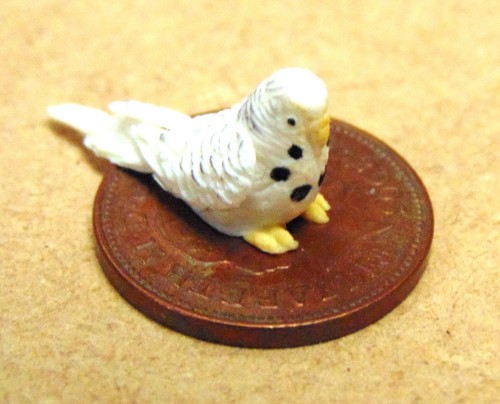 Dolls house white budgerigar - house,