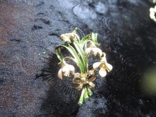 VINTAGE EXQUISITE SNOWDROP  50'S/60'S  SIGNED BROOCH #12