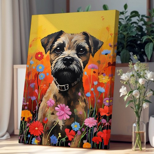 Border terrier colour - border,