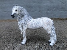 Breathtime Friesian Stallion