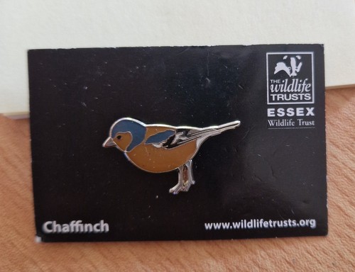 Chaffinch pin badge new - , essex
