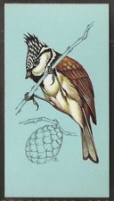 TETLEY (TEA)-BRITISH BIRDS