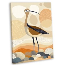 Curlew Canvas Wall Art Print