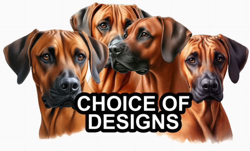 Weimaraner rhodesian ridgeback - weimaraner,