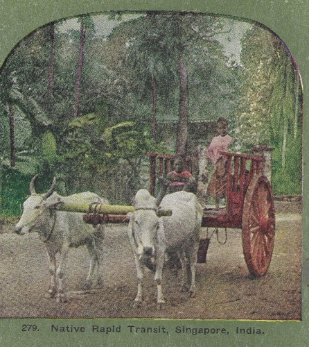 Native rapid transportation - native,