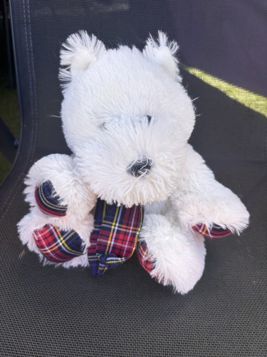 West highland terrier westie - west,