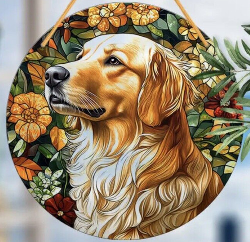 Golden retriever labrador dog - labrador,