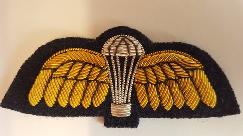 Parachute regiment wings - regiment, wings.
