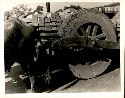Ga304 approx 1920s orig photo - 1920s,