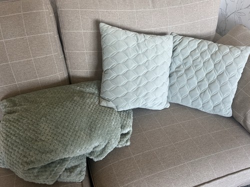 Sage green cushions - green,
