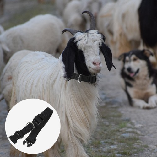 10pcs quick release - 10pcs, goat