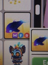 Adopt me glormy dolphin mfr