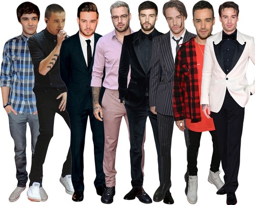 Liam payne life size celebrity - payne,