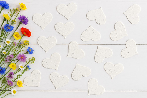 Seed paper hearts confetti - paper,