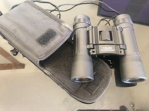 Miniature binoculars - miniature,