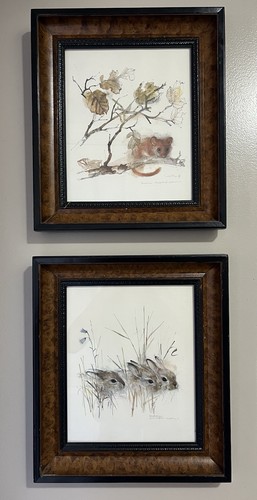 Pair mads stage - mads, framed