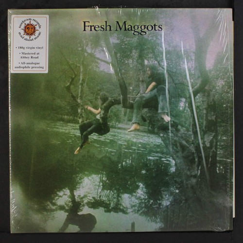 Fresh maggots - fresh,