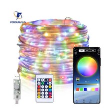 USB Fairy LED String Lights Smart Remote APP Controller Dream Color Party Decor