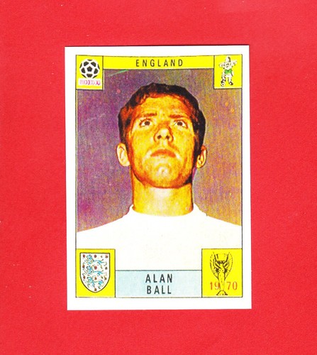 Panini fifa world cup - panini,