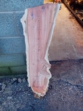 English Yew Hardwood Slab