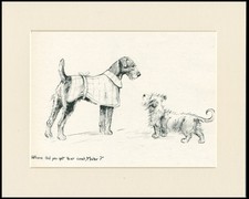 AIREDALE AND SKYE TERRIER OLD 193 DOG ART PRINT BY ARTIST  K F BARKER MOUNTED