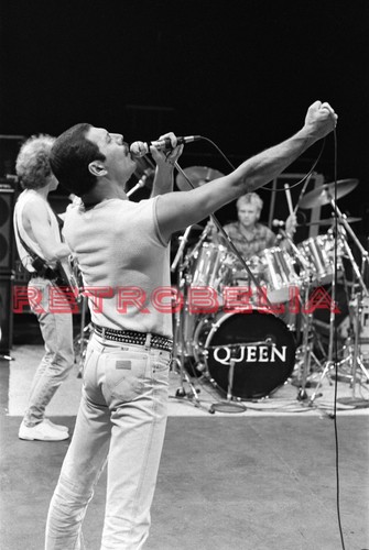 Freddie mercury queen - mercury, /