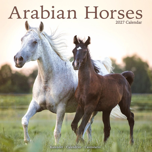 Arabian horses 2027 - 2027, calendar