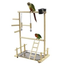 Parrot Playstand Bird Plays