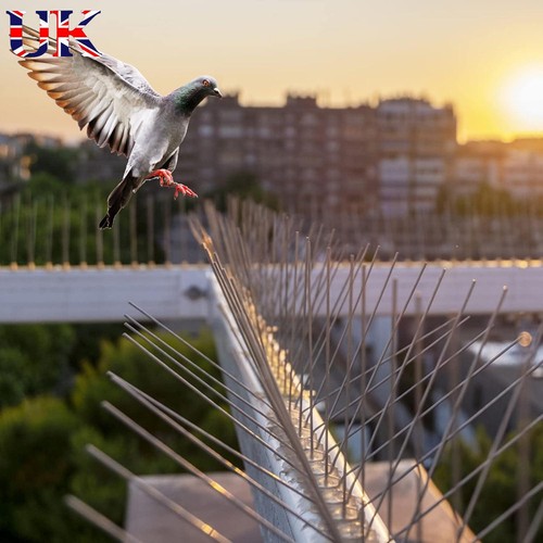 Bird spikes pigeon - spikes, for