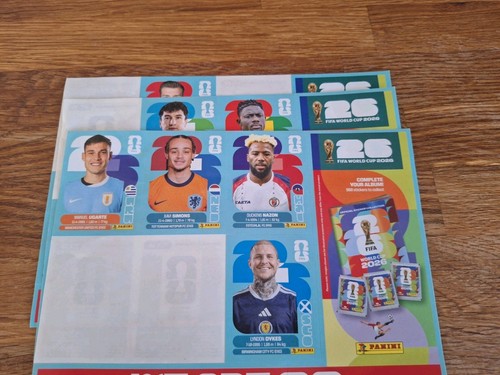 Panini fifa world cup - world,