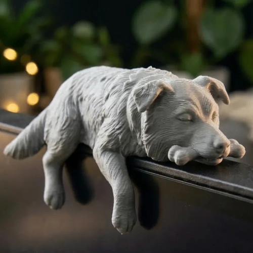 Cozy border collie - cozy,