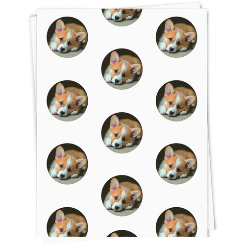 Cute corgi puppy - gift, /
