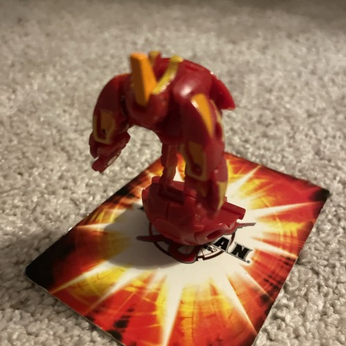 Pyrus helix dragonoid - ,