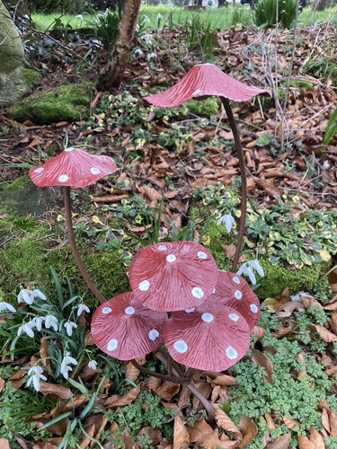 Spotty red metal toadstool - red, /